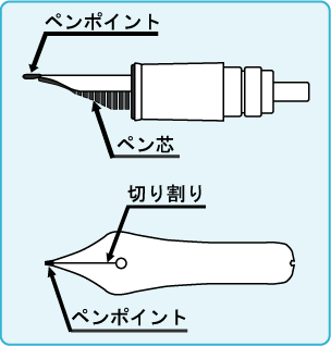 ペン先・ペン芯・切り割り・ペンポイントの構造を示した図